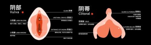 为什么大多数女性觉得自己从未愉悦过