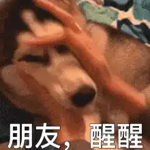 男生在床上发出奇怪的声音你想象不到!