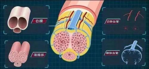 房事太激烈，丁丁居然断了