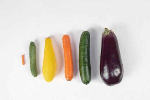 为什么不同尺寸的丁丁都可以给女性带来快乐