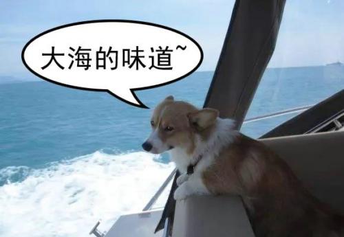 女生的私处，究竟是什么味道的