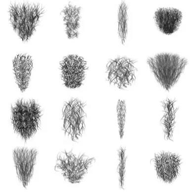 丁丁上面的毛发，有啥生理作用