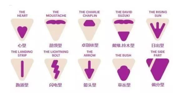 下面的毛毛为啥是卷的?4个阴毛秘密你知道吗