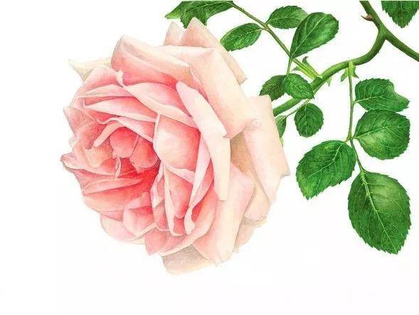 啪啪啪疼痛姿势不对还是谁问题