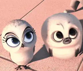 今天我们了解下什么叫窗口期