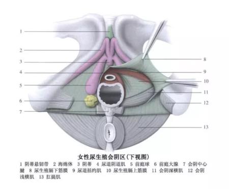 怎么让女人快速进入状态,更湿润呢