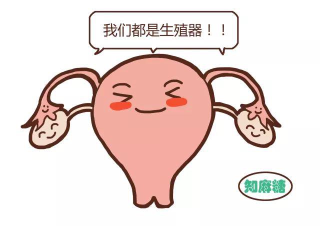 男士勿入|女性必知的＂性知识＂