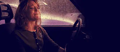 老司机的「车.震.指.南」