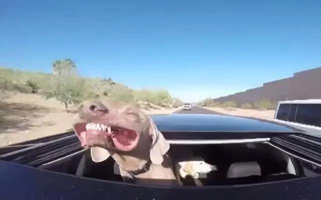 老司机的「车.震.指.南」