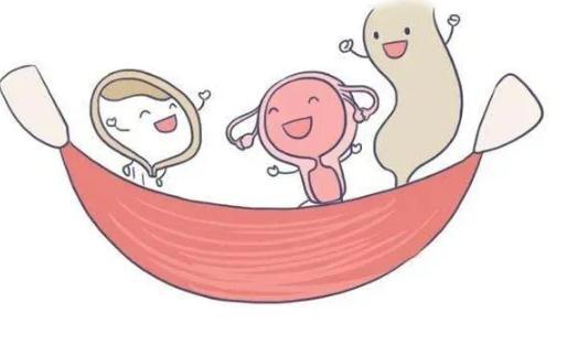 生男生女计算器49算法