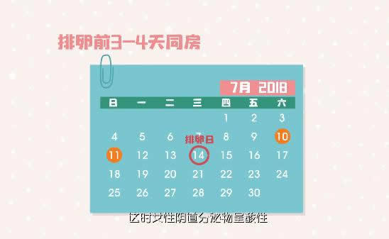 生男生女计算器49算法