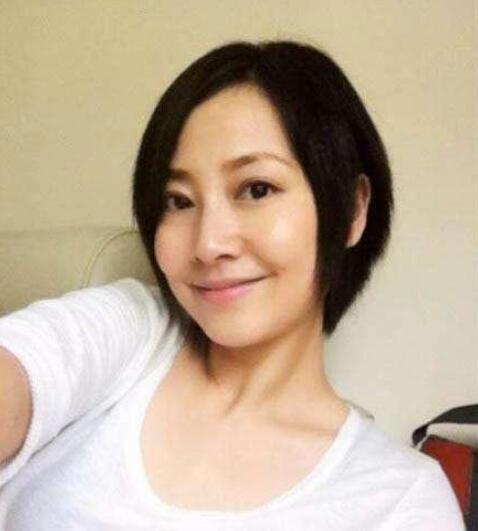 张卫健老婆张茜个人资料:张卫健老婆为什么不能生