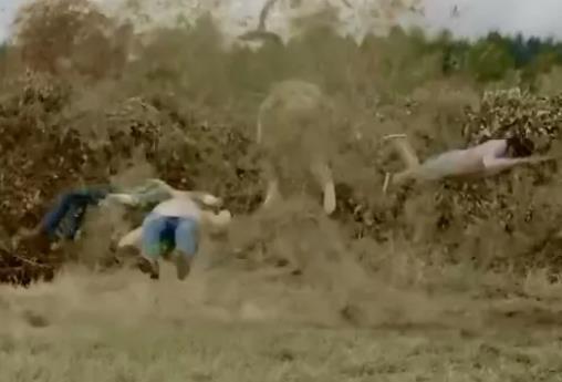 推荐几部好看的欧美连续剧 (十大必看的美剧推荐)