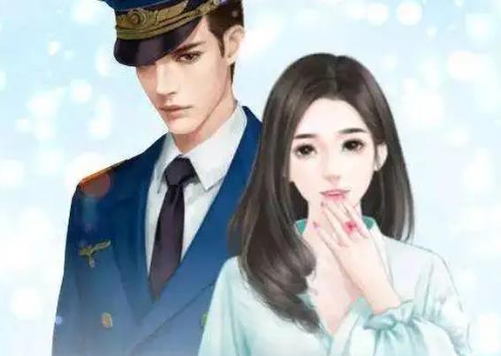 有哪些军婚小说推荐(三十部军婚小说)