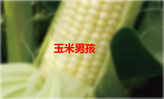 芝麻女孩和玉米男孩，来源《十宗罪》中的故事原型吓人