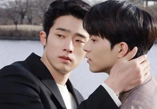 评分高的腐剧排名(29部韩国BL腐剧好看到炸)