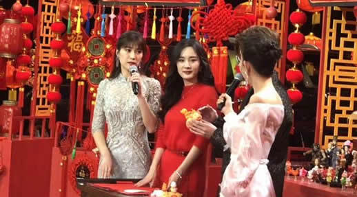 各大卫视春晚阵容2019:九大卫视春晚阵容详情表单曝光