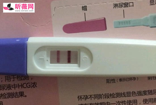验孕棒怎么用正确用法，验孕棒图片怀孕图片