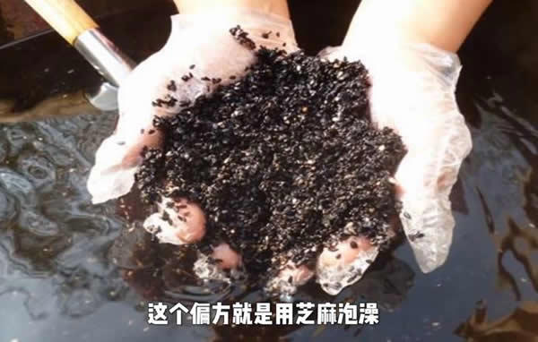 芝麻女孩吓人的原因，毛孔芝麻女孩故事介绍