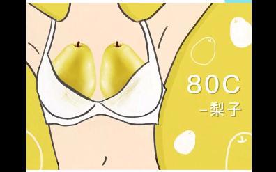 罩杯abcd怎么分大小水果形容(a-g罩杯图片)