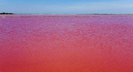 血瀑布血雨血水湖：哪个触碰到你惊恐的小心脏（图）