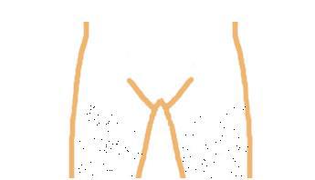 女人私处健康的阴毛造型：图揭时髦私处阴毛造型