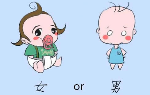 汇总计算知道生男生女方法