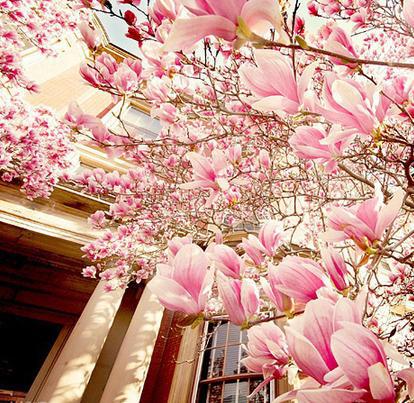 天蝎座女生性格弱点：爱情中天蝎座的致命缺点