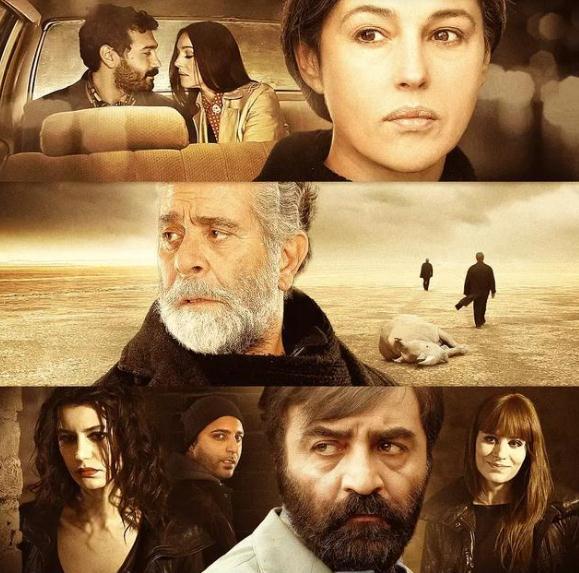 莫妮卡贝鲁奇的经典电影10部，每一部都是颜值巅峰