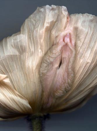 女人二十种外阴照片：女人外阴的形状照片与生理知识