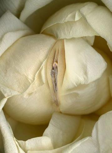 女人二十种外阴照片:女人外阴的形状照片与生理知识