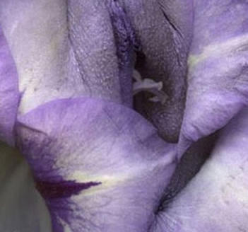 女人十大名器详解：不一样的外阴形状不一样的感觉