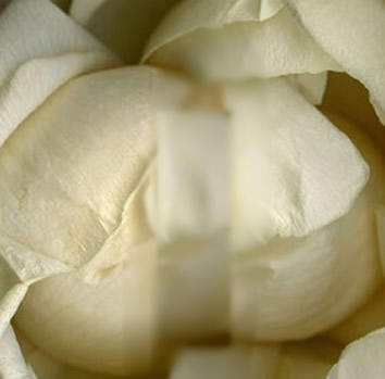 女人十大名器详解：不一样的外阴形状不一样的感觉