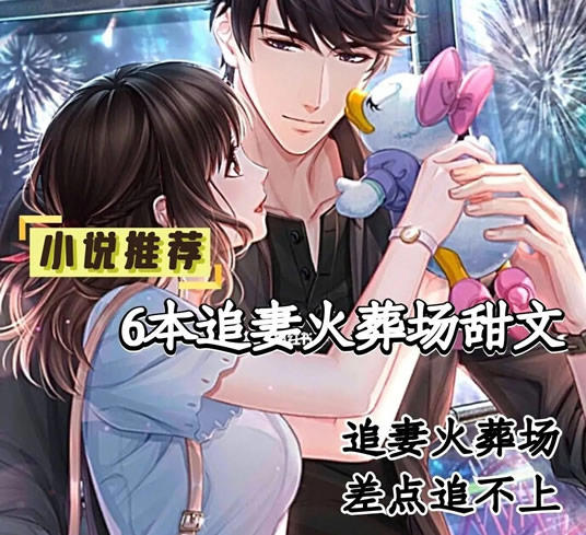 10本追妻火葬场高质量言情小说
