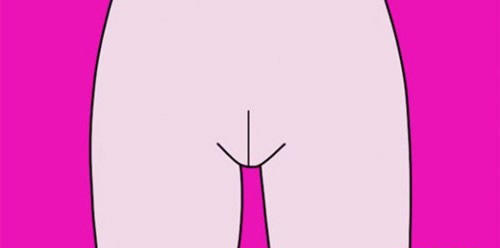 女性私密部位图科普，外阴结构样子图(涨知识)