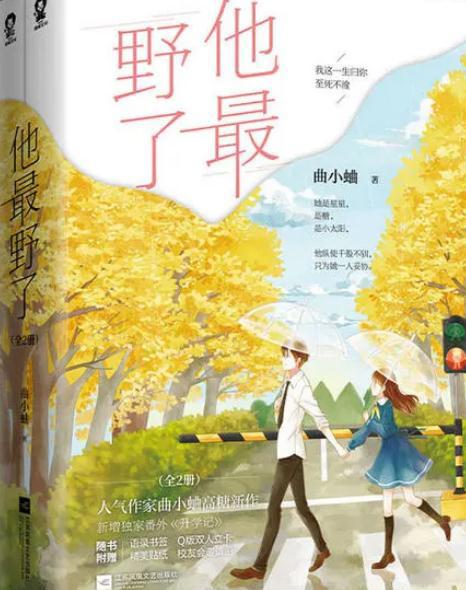 超甜言情校园青春小说(20本甜宠青春校园文)