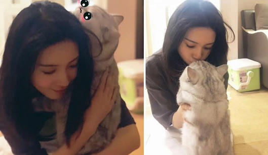 工作室否认陈瑶恋情：陈瑶否认和谁的恋情事件始末