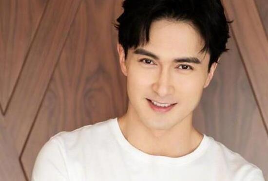 高伟光有老婆了吗,高伟光有多高及资料