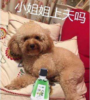 小姐姐是什么梗什么意思：小姐姐出处,小姐姐表情包