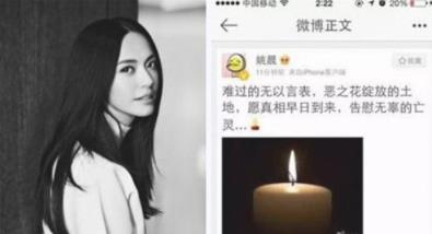 姚晨为什么叫恶之花：姚晨最近怎么不出来了