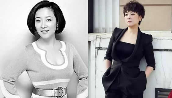 演员陈小艺简历哪里人：陈小艺演的电视剧大全