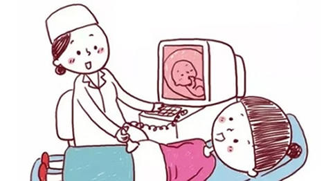 孕囊形状看男女图标一览