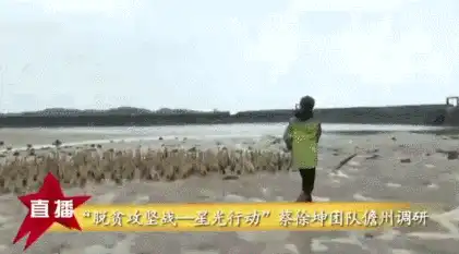 粉丝把鸭蛋买脱销是什么情况：具体经过详情真相是这样