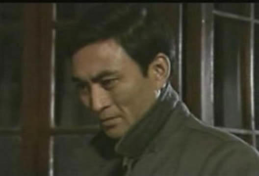 反特谍战剧有哪些(推荐6部密战电视剧)