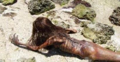 1962年活鲛人现身居然会说人话：鲛人的传说（图）