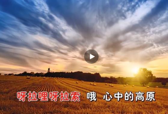降央卓玛歌曲大全50首大合集