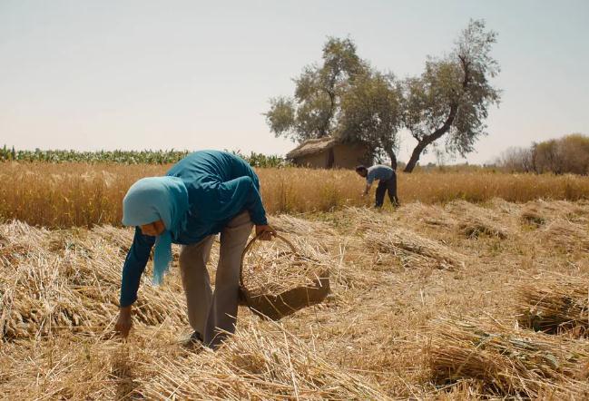 近期好看的电影2022(最新上映2022电影排行榜前十名)