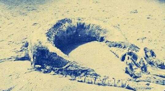 双鱼玉佩事件5张图真实 网曝双鱼玉佩图片其实是虚构？