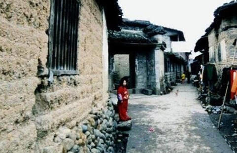 夜狸猫事件：民间诡异故事传说