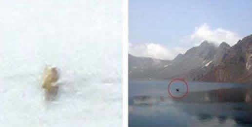 长白山天池水怪什么样子：有人目击水怪身影在水里游